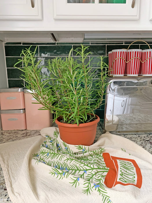 Rosemary screen-printed dish towel lying next to rosemary plant
