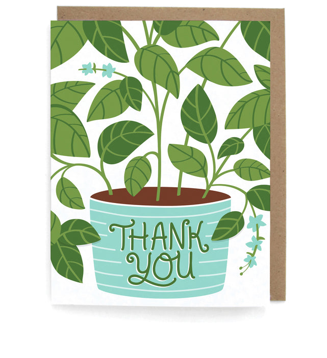 White card that pictures a basil plant in a teal planter that says "Thank you," with a brown envelope