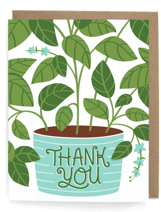 Thank You Basil Card - Set of 8