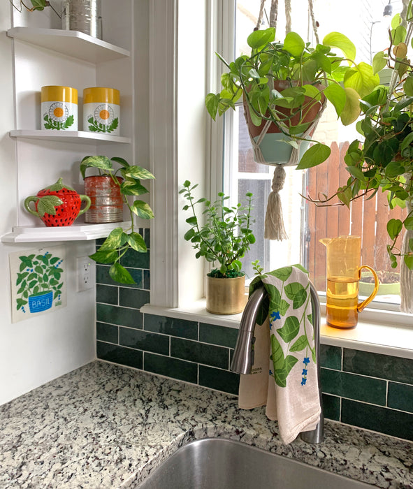 A basil sponge cloth hangs on the wall by the kitchen sink.