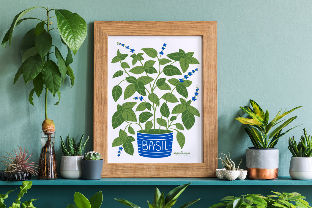 Basil print in small size amongst several houseplants