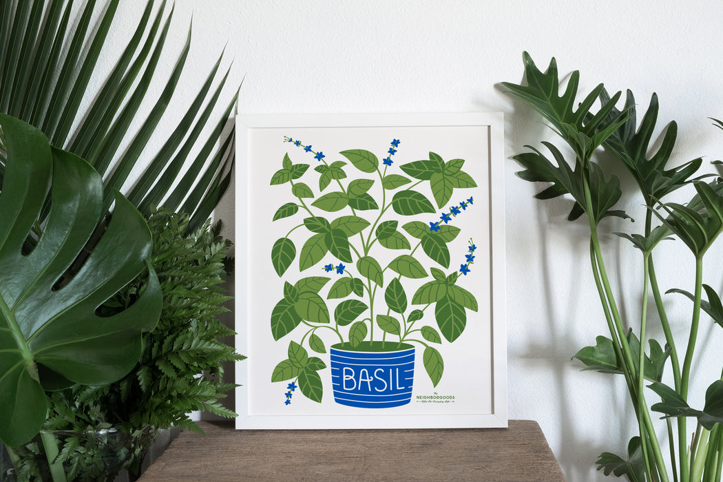 Basil print in small size amongst several houseplants