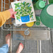 A woman places the basil sponge cloth on the top rack of the dishwasher.