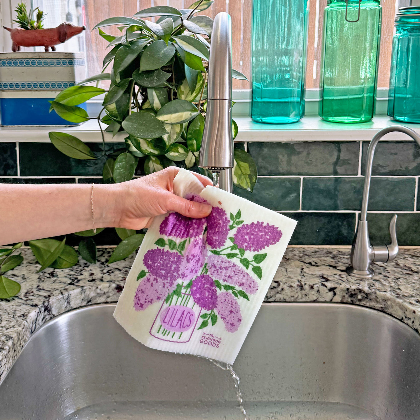 A lilacs sponge cloth becomes wet under running kitchen faucet.