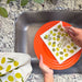 A woman washes a plate in the kitchen sink with an olive sponge cloth.
