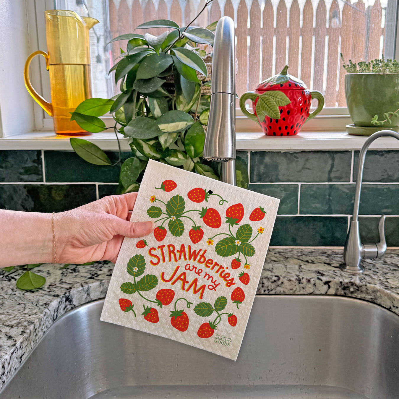 SPONGE CLOTHS