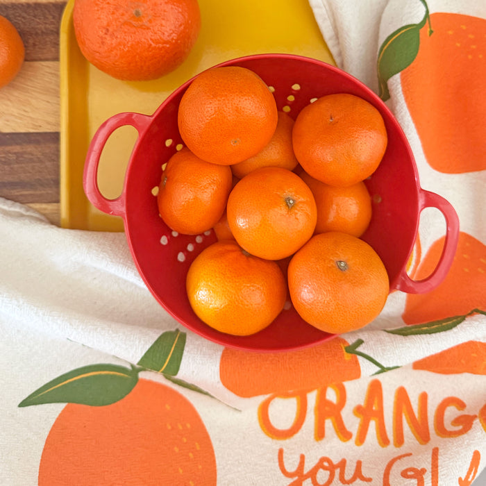Orange Dish Towel