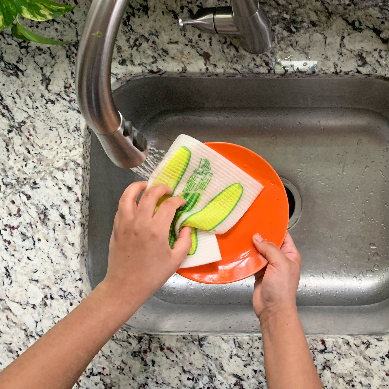 SPONGE CLOTHS