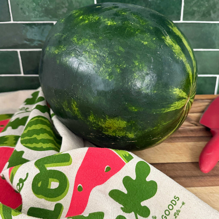 Mint + Melon - Dish Towel Set of 2