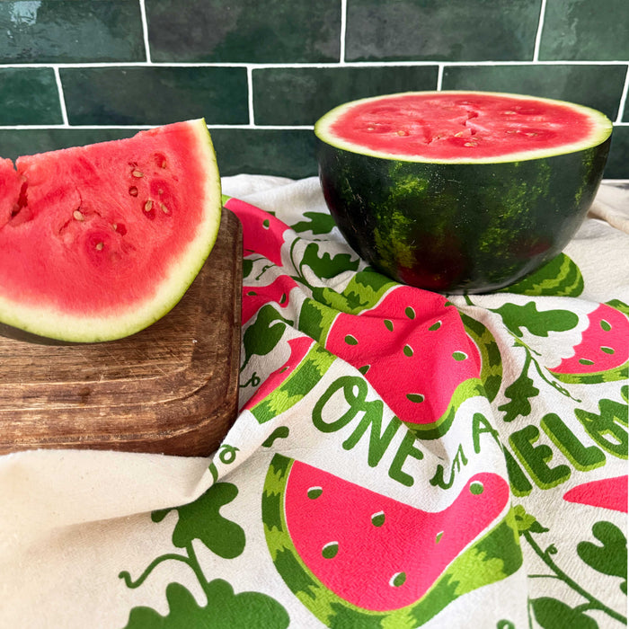 Mint + Melon - Dish Towel Set of 2
