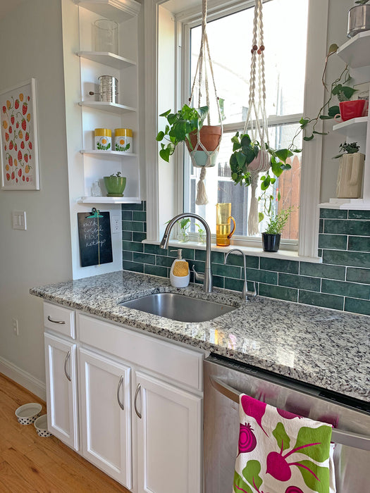 A sun-light kitchen with hanging potted plants above the sink.